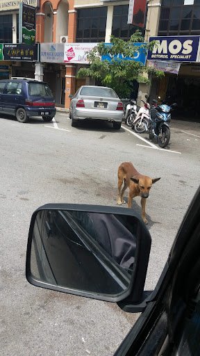 Atlas Edible Ice Sdn Bhd-Nilai