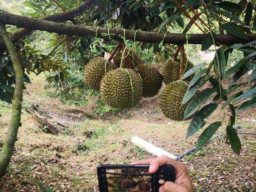 HCS Agrochem Sdn.Bhd. HCS Agrochem Sdn.Bhd.
