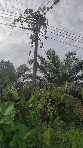 Alam Suria Equity Mukah Workshop