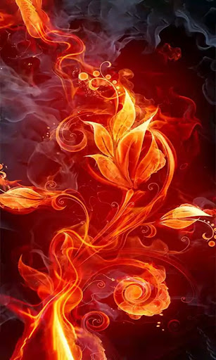 Daaryz Machinery Solution Daaryz Machinery Solution